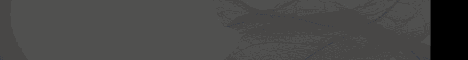 SF_FB_CollectiveProductionAnimatedBanner2010