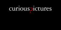SF_VA_CuriousPictures_AnimatedBTN2010